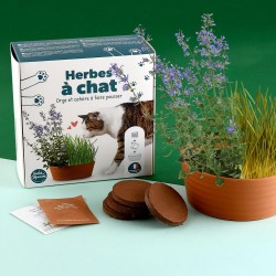 Cat Grass Gift Set