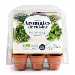 Mini Herb Gardening...