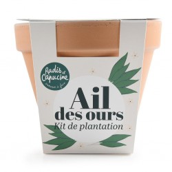 Antique Terracotta Pot -...