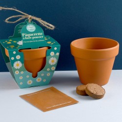 Easter - 8cm Terracotta Pot...