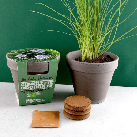 Pot Terre cuite Basalte 13cm Ciboulette bio