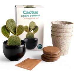 Cactus growing kit with pot