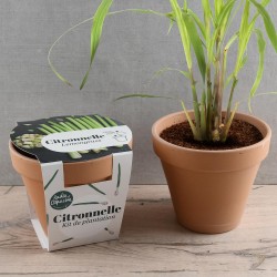 13cm Antique Terracotta Pot...