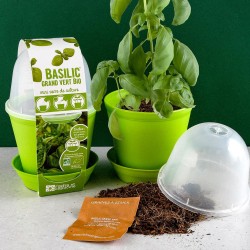 Growing Bell Pot - Organic...