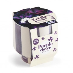 Trèfle pourpre à faire pousser