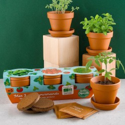 Trio of Tasty Pots with...