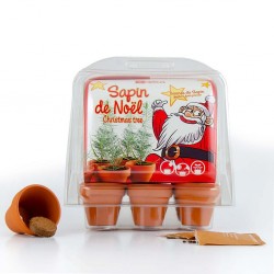 Mini serre de jardinage Sapins de Noël à semer