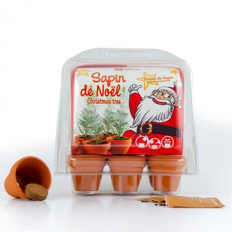 Mini serre de jardinage Sapins de Noël à semer