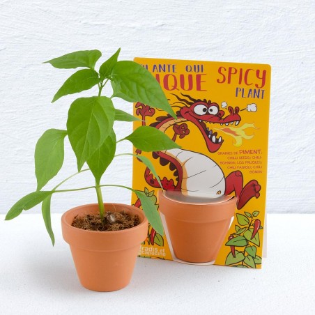 Dragon and His Chili Pepper to Grow - Map with Pot