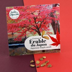 Canadian Red Maple Seeds to...