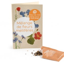 Carte souvenir - fleurs à...