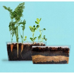 Vivarium racines et...