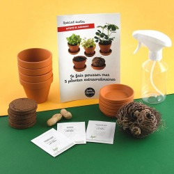 5 plantes extraordinaires à...