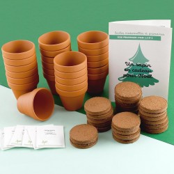 24 Sapins à faire pousser -...