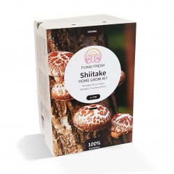 Kit champignon Shiitake...