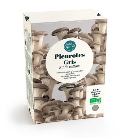 Pleurotes gris BIO en kit à faire pousser