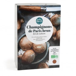 Kit Champignons de Paris...