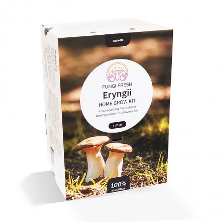 Kit champignon Coréen Eryngii BIO
