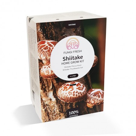 Kit champignon Shiitake Japonais BIO