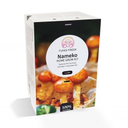 Kit champignon Japonais...