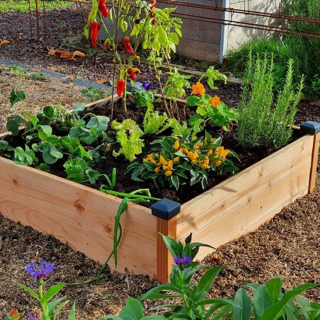 Scolaire - Carré Potager Douglas L82 x l82 x H26 cm Livraison directe