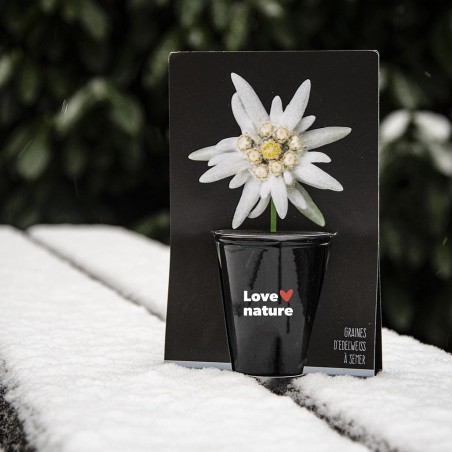 Kit de culture pot black 6 cm - Edelweiss
