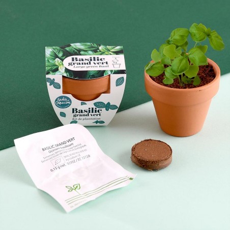 Mini kit jardinage basilic