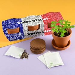 Trio Fleurs de drapeau