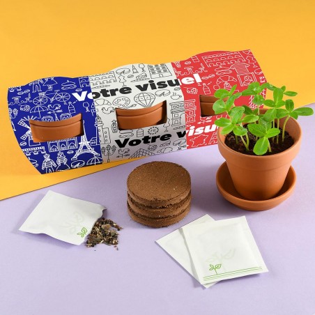 Trio Fleurs de drapeau