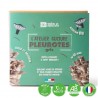 Kit de culture Pleurotes Bio gris