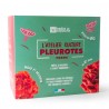 Kit de culture Pleurotes bio roses