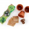 Trio Pots Terre cuite 6 cm  Aromatiques Bio