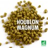 Houblon MAGNUM (amérisant) pour brassage