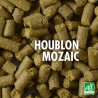 Houblon MOSAIC Bio (mixte) pour brassage