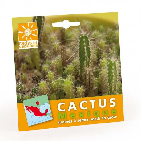 Graines exotiques de cactus à semer à la maison