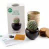 Kit Cactus