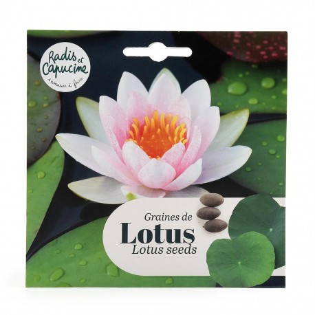Graines de Lotus en sachet