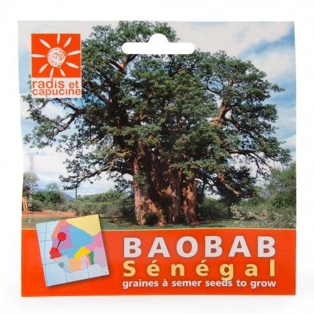 Graines de Baobab du Senegal en sachet