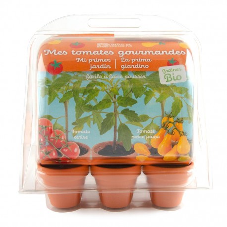 Serre de jardinage enfant : tomates bio à faire pousser