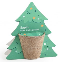 Kit de plantation carte sapin