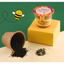 Kit RSE fleurs à semer pour...