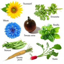 Coffret 50 légumes et...