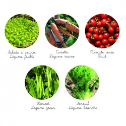 Les familles de légumes -...