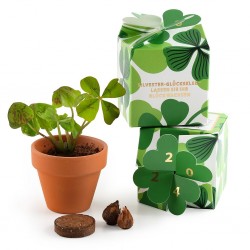 Kit de plantation surprise...