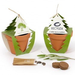 Kit de plantation arbre à...