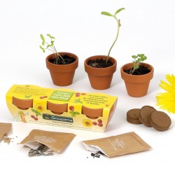 Set trio de pots avec graines