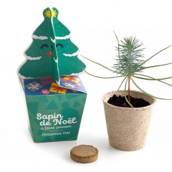 Kit sapin à décorer -...