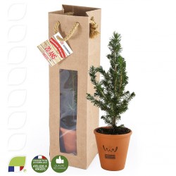 Sapin de Noël à offrir