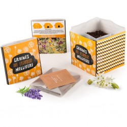 Jardin de poche en cadeau