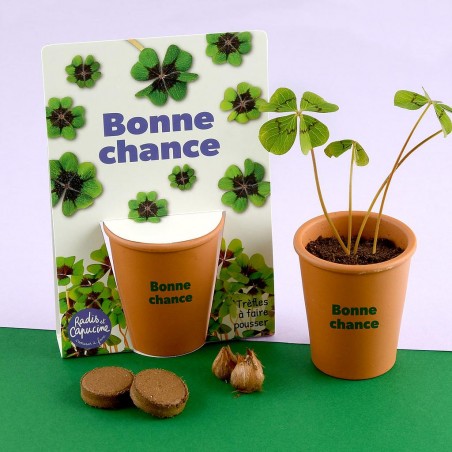 Kit jardinage "Bonne chance" - trèfle 4 feuilles